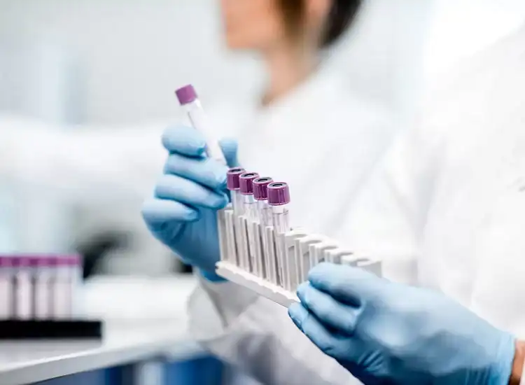 lab-services
